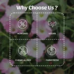 1 Shankhpushpi Powder Mockup