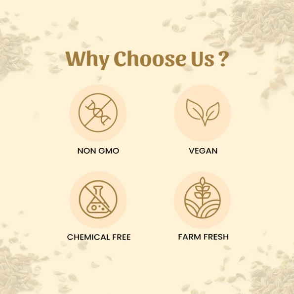 6 ajwain powder why choose us