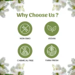 1 ardusi powder mockup