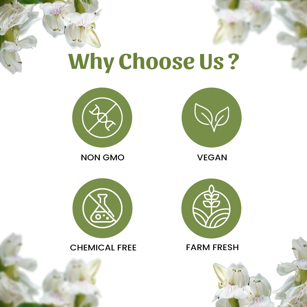 6 ardusi powder why choose us 6 ardusi powder why choose us