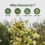 1 arni powder mockup