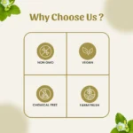 1 bala powder mockup