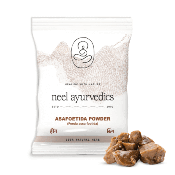 Neel Ayurvedics Hing / Assafetida in polvere - 100 GM