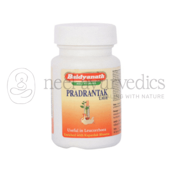 Baidyanath Pradarantak Lauh - 40 Tab