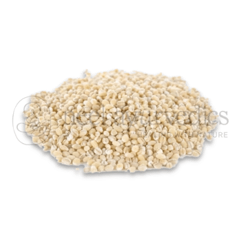 Neel Ayurvedics Jau | Orzo | Hordeum Vulgare - 250 GM