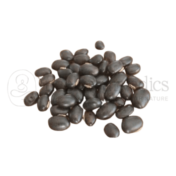 Neel Ayurvedics Black Kaunch Beej | Semi di Mucuna Pruriens neri | Cowhage - 250 GM