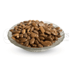 Neel Ayurvedics Borsali Beej | Semi di Mimusops Elengi - 100 GM