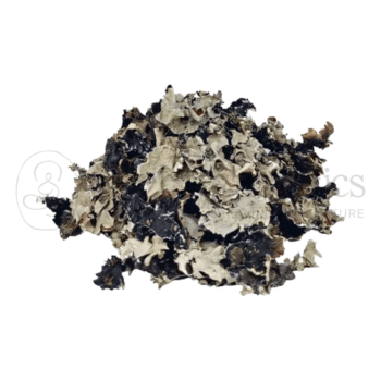 Neel Ayurvedics Dagad Phool | Fungo di pietra | Parmelia perlata | Usato in cucina tradizionale - 250 GM