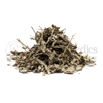 Neel Ayurvedics Nirgundi Leaves | Foglie di Nirgundi | Vitex negundo | Antinfiammatorio naturale - 500 GM