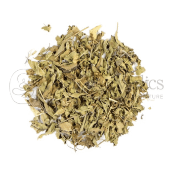 Neel Ayurvedics Foglie di Tulsi Essiccate | Foglie di Basilico | Ocimum sanctum - 250 GM