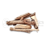 Neel Ayurvedics Arand Mool | Radice di Ricino | Arandi Jadd | Erand Mool | Ricinus Communes