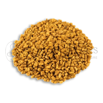 Neel Ayurvedics Methi | Semi di Fieno Greco | Trigonella foenum-graecum - 250 GM