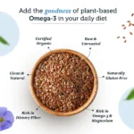 Alsi-_-Flax-Seeds.png