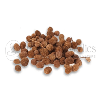 Neel Ayurvedics Gorakhmundi | Sphaeranthus Indicus - 250 GM