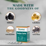 Himalaya-Tentex-forte-Tablet-–-10-Tab.png
