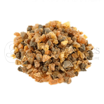 Neel Ayurvedics Hirabol | Mirra | Commiphora myrrha | Murmukhi | Mur Makki - 100 GM