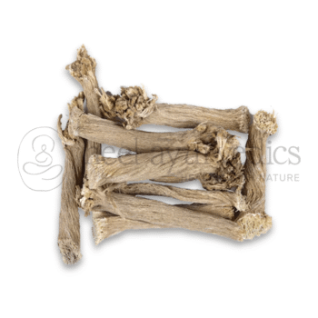 Neel Ayurvedics Indrayan Mool | Radice di Mela Amara | Citrullus colocynthis | Tumba - 500 GM