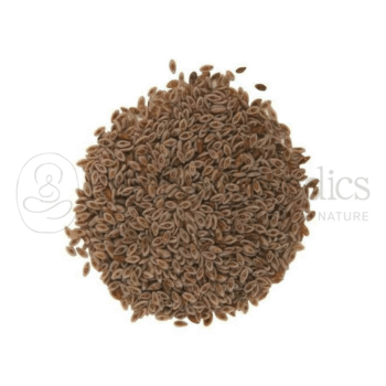 Neel Ayurvedics Isabgol Dana | Semi di Psyllium | Semi di Plantago ovata | Per intestino sano - 250 GM