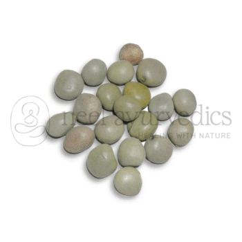 Neel Ayurvedics Semi di Kachka | Kakachiyo - 250 GM