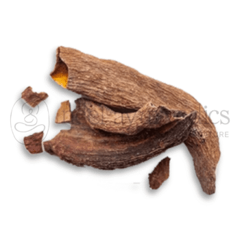 Neel Ayurvedics Kakdasingi | Pistacia Integerrima | Utilizzata nei rimedi respiratori - 100 GM