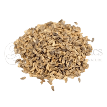 Neel Ayurvedics Kasni Seeds | Semi di Cicoria | Cichorium intybus - 100 GM