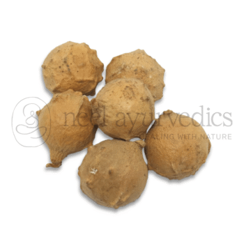 Neel Ayurvedics Katalu Mayu | Majuphal | Galle di Quercia | Quercus infectoria | Astringente naturale - 100 GM