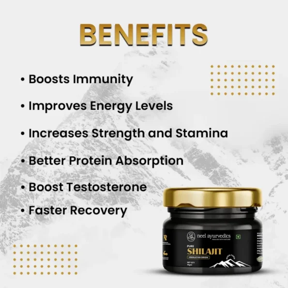 Neel Ayurvedics Resina Shilajit