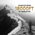 Neel Ayurvedics Resina Shilajit