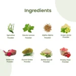 Vitamin-b12-Supplement-Mockup.webp