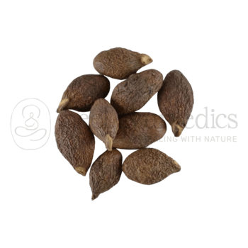 Neel Ayurvedics Niranjan Phal | Noci di Malva | Sterculia Lychnophora ? Regolatore intestinale