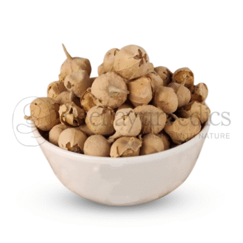 Neel Ayurvedics Paneer Phool | Paneer Doda | Withania Coagulans | Supporto per il diabete - 250 GM