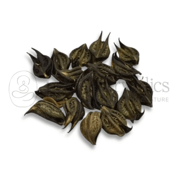 Neel Ayurvedics Pitpapda Seeds | Semi di Pitpapra ? Disintossicante naturale