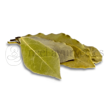 Neel Ayurvedics Rasna Pan | Foglie di Rasnai | Rai Senna | Pluchea Lanciolata - 500 GM