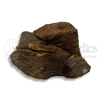 Neel Ayurvedics Rasvanti | Berberis aristata | Rimedio per pelle e infiammazioni - 250 GM