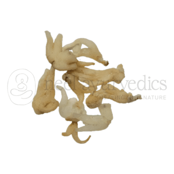 Neel Ayurvedics Salam Panjo | Salam Panja | Dactylorhiza hatagirea | Radice per il benessere - 100 GM