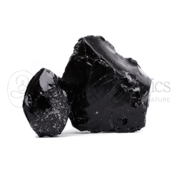Neel Ayurvedics Shilajit | Asphaltum | Minerale tonificante per energia e vitalit - 100 GM