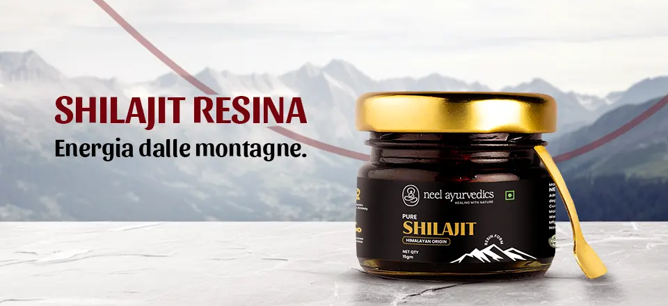 Neel Ayurvedics Shilajit Resin