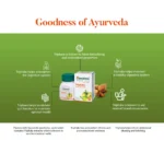 Himalaya-Triphala-Tablets-–-60-Tab.png