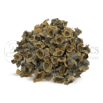 Neel Ayurvedics Vakumba | Kumbhi | Baikhumba | Careya Arborea - Pianta medicinale tradizionale - 250 GM