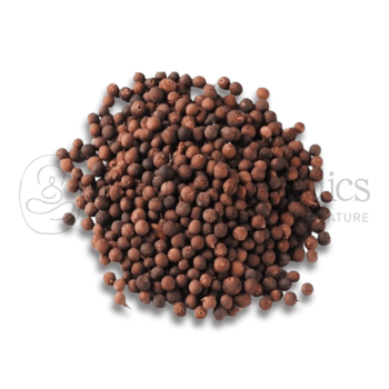 Neel Ayurvedics Red Vavding | Vayuvidangam | Baibadang | Embelia ribes | Spezia digestiva - 100 GM