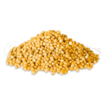 Yellow-Musterd-Seeds.png