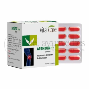 Vital Care Capsula Arthrum Plus - 100 Caps