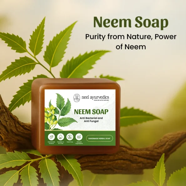 Neel Ayurvedics Sapone al Neem