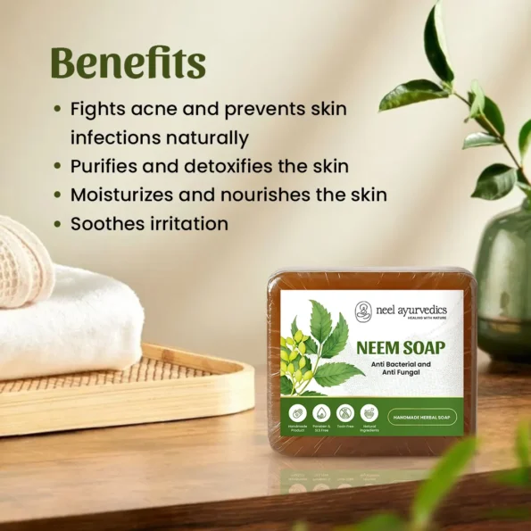 Neel Ayurvedics Sapone al Neem