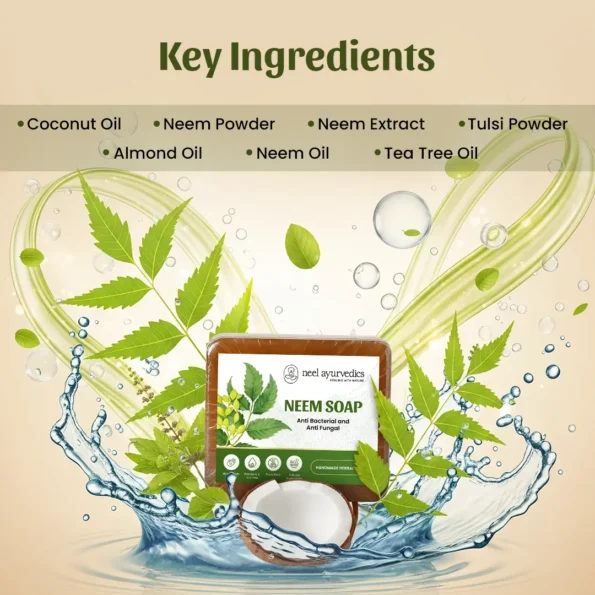 Neel Ayurvedics Sapone al Neem